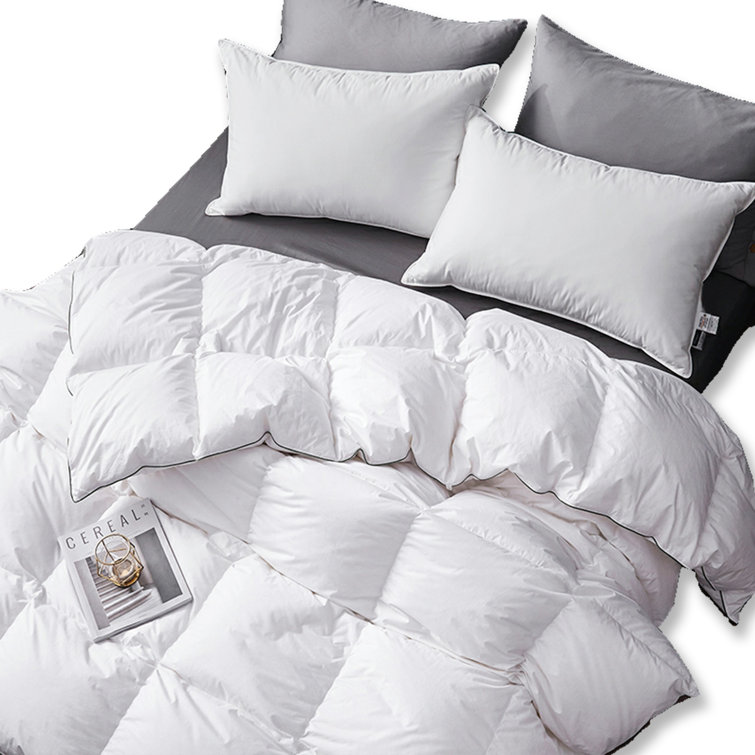 850 fill down on sale comforter